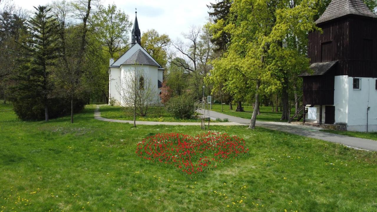 Homestay Poděbrady Extérieur photo
