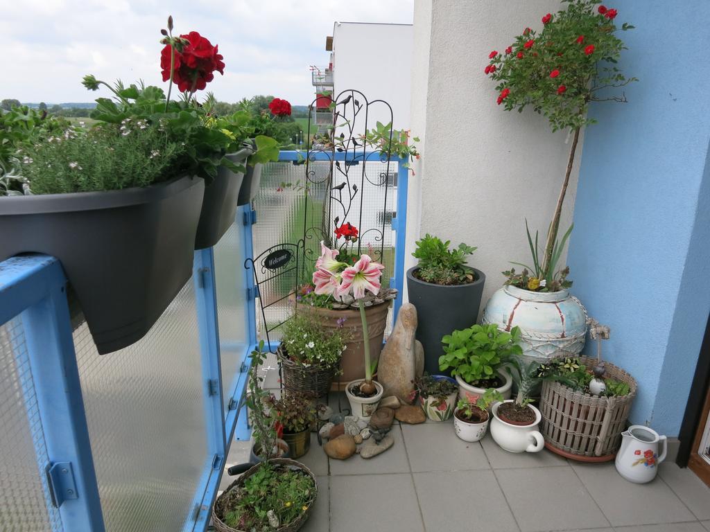 Homestay Poděbrady Extérieur photo